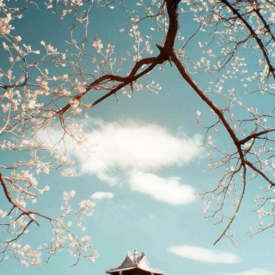 剑侠无双九游客户端下载
